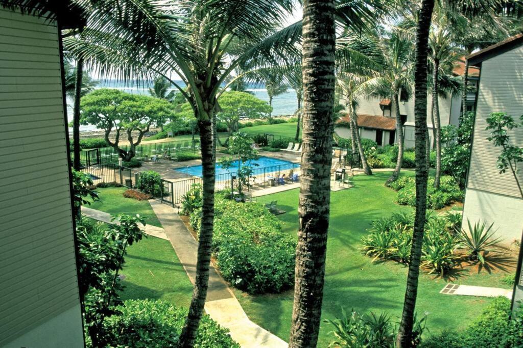 1Br Condo At Oceanfront Resort Kapaa Shore Kapa'a Exteriér fotografie